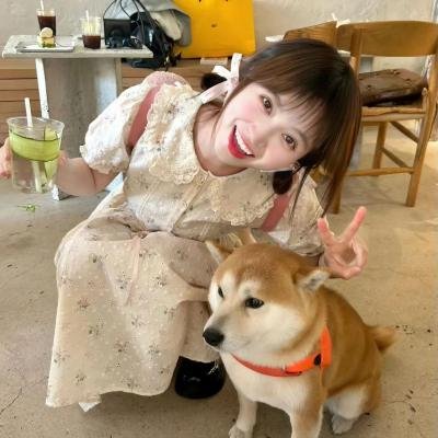 一月 海报